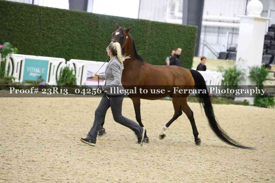 Proof 23R13_04256