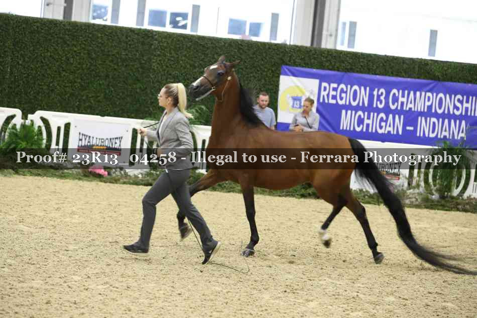 Proof 23R13_04258
