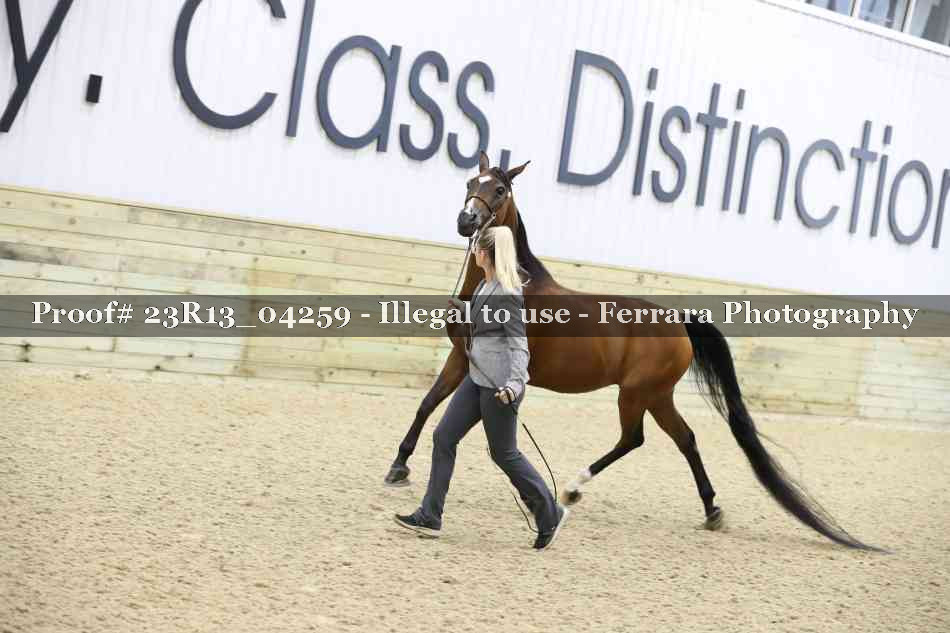 Proof 23R13_04259