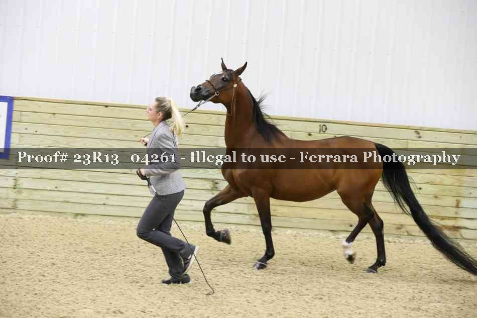 Proof 23R13_04261