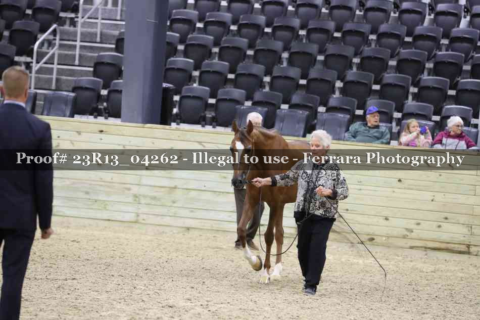 Proof 23R13_04262