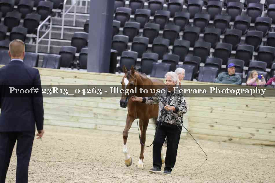 Proof 23R13_04263