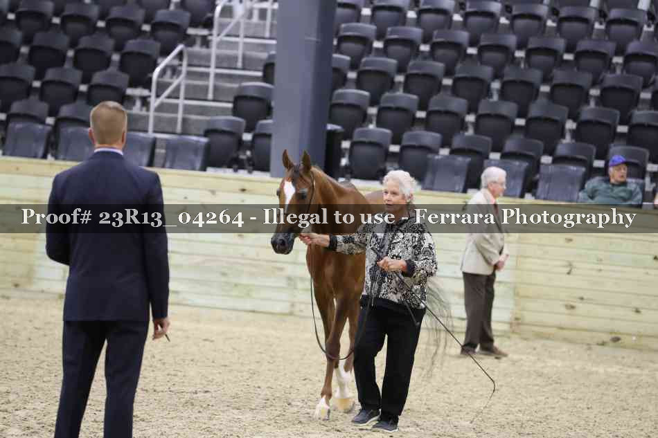 Proof 23R13_04264