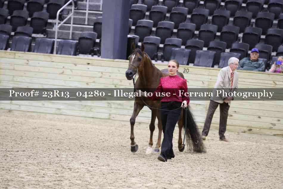 Proof 23R13_04280