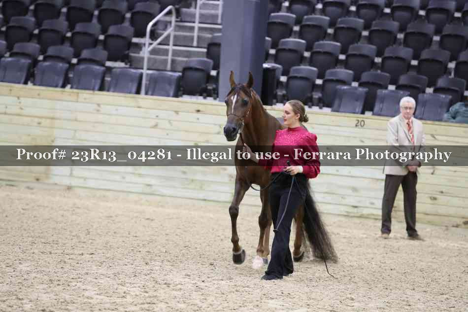 Proof 23R13_04281