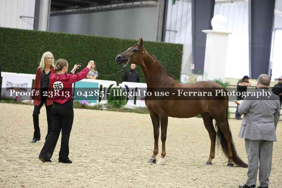 Proof 23R13_04285
