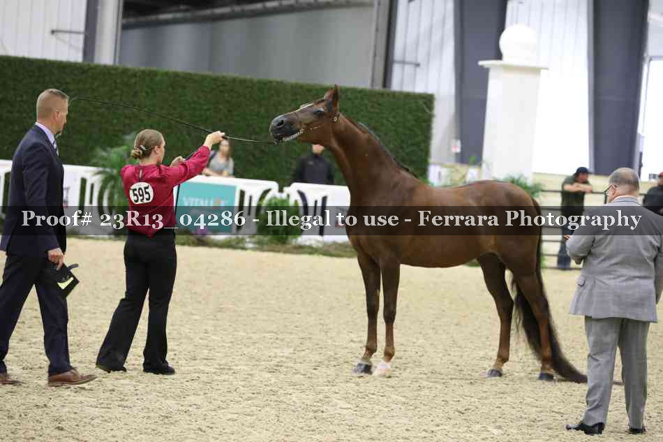Proof 23R13_04286