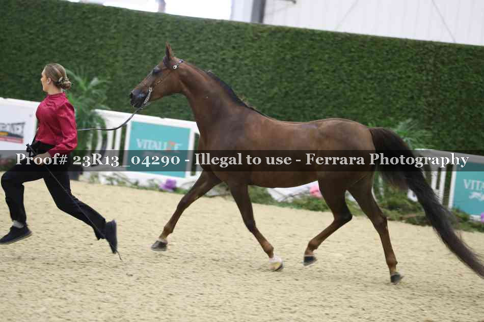 Proof 23R13_04290
