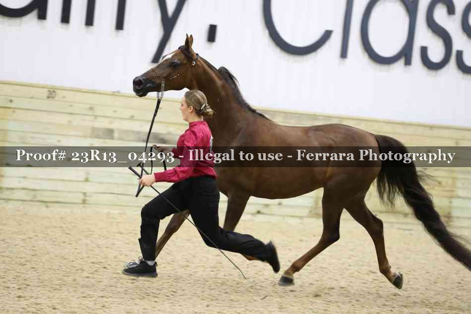Proof 23R13_04293