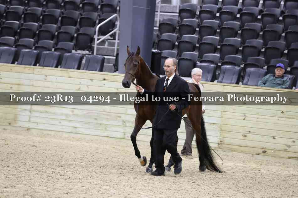 Proof 23R13_04294