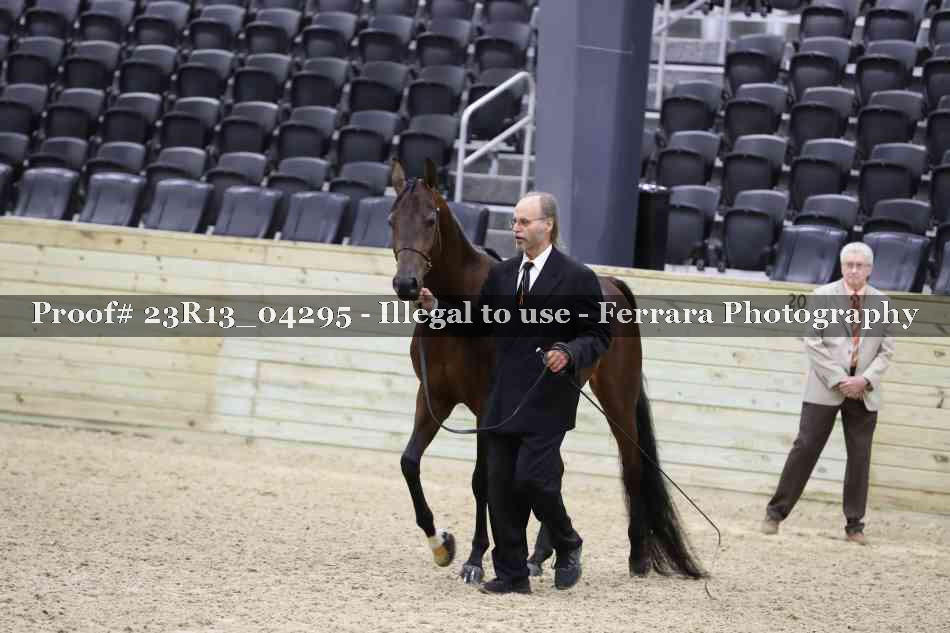 Proof 23R13_04295