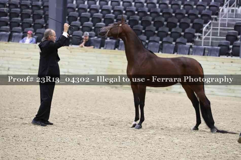 Proof 23R13_04302