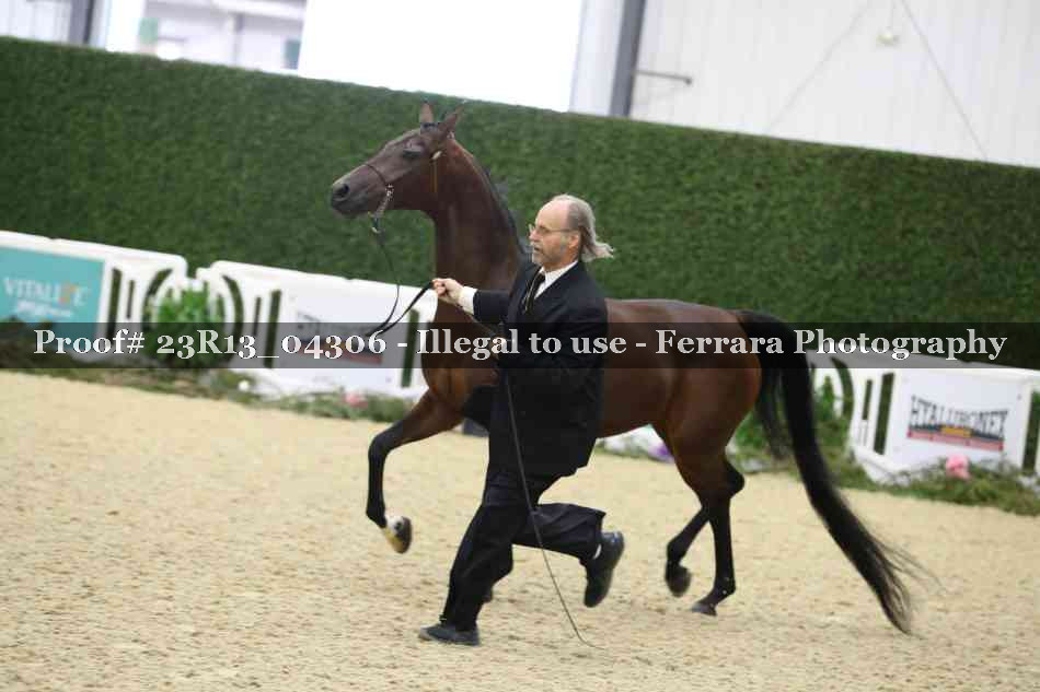 Proof 23R13_04306