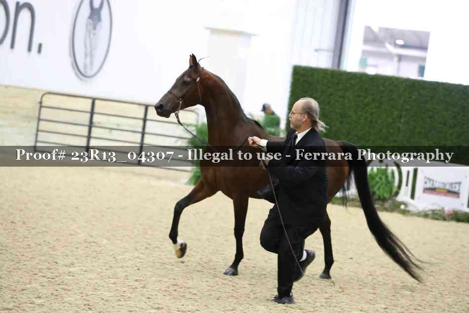 Proof 23R13_04307