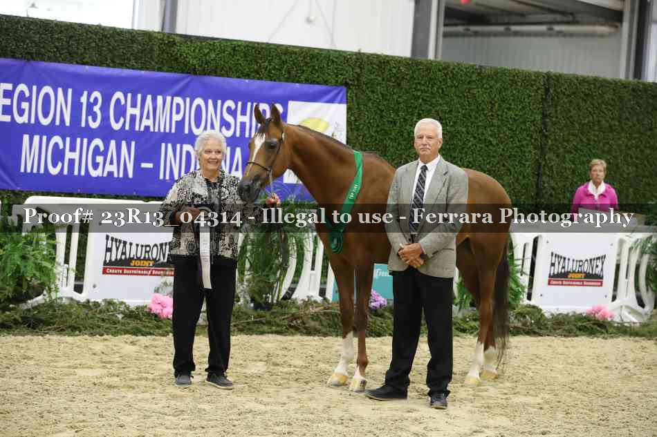 Proof 23R13_04314