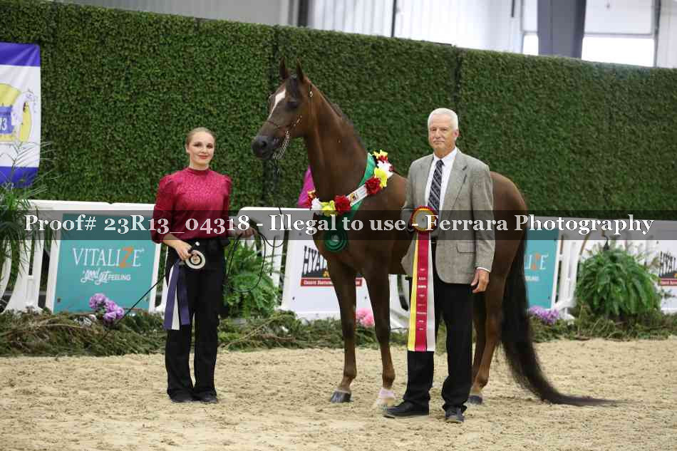 Proof 23R13_04318