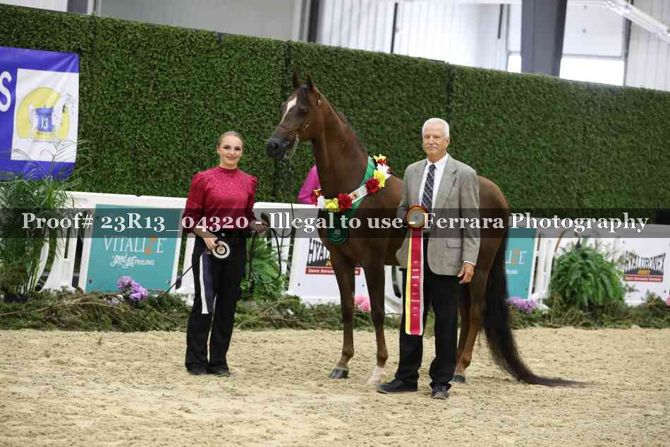 Proof 23R13_04320