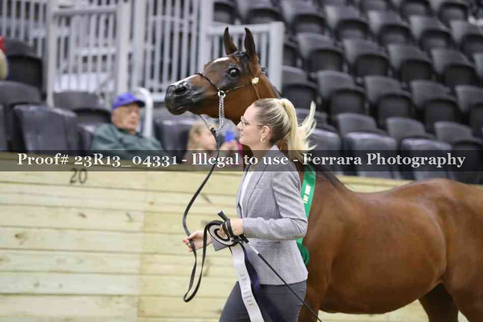 Proof 23R13_04331