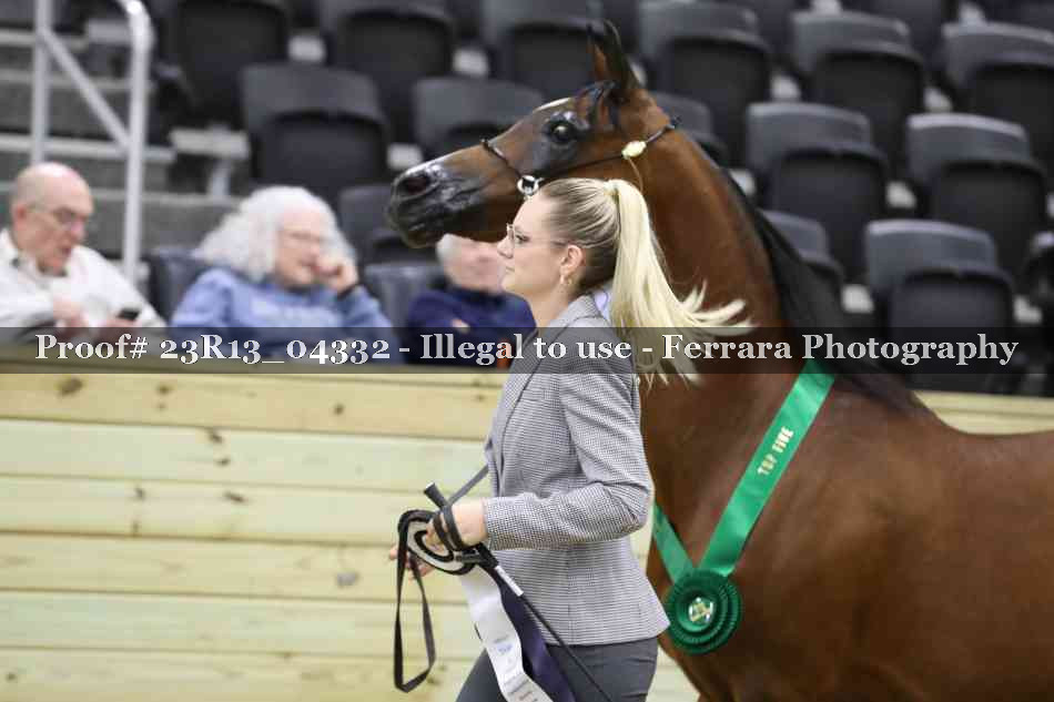 Proof 23R13_04332