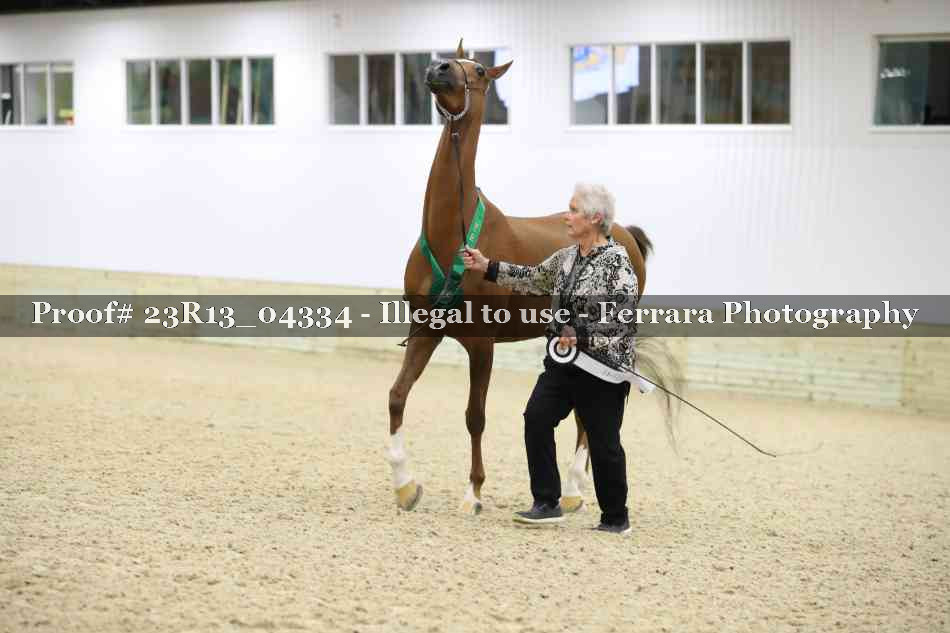 Proof 23R13_04334