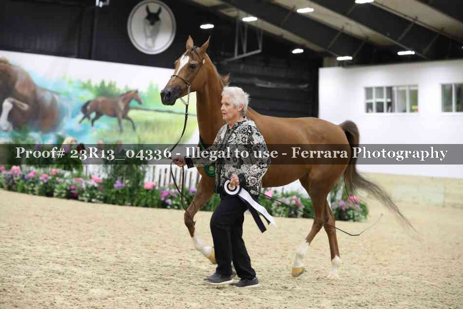 Proof 23R13_04336