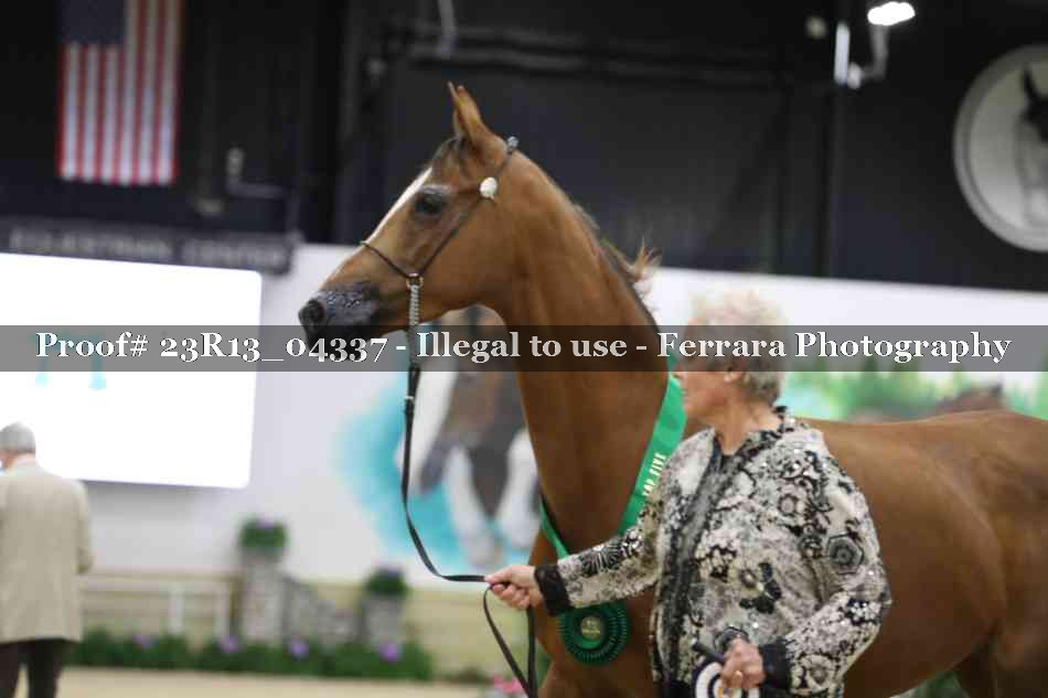 Proof 23R13_04337