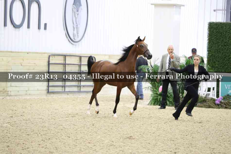 Proof 23R13_04355