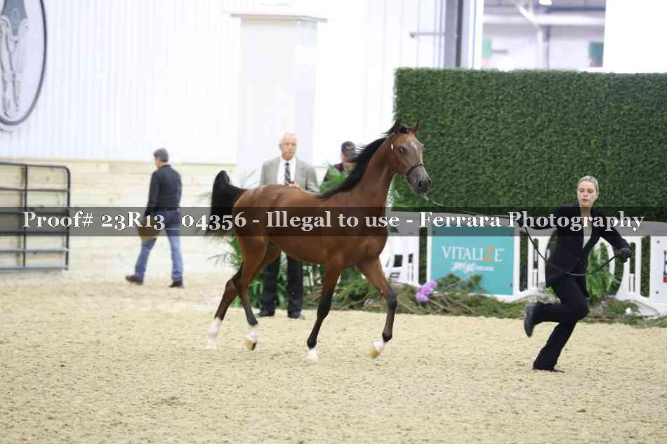 Proof 23R13_04356