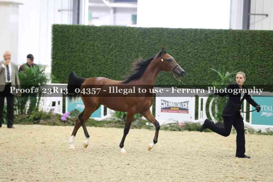 Proof 23R13_04357