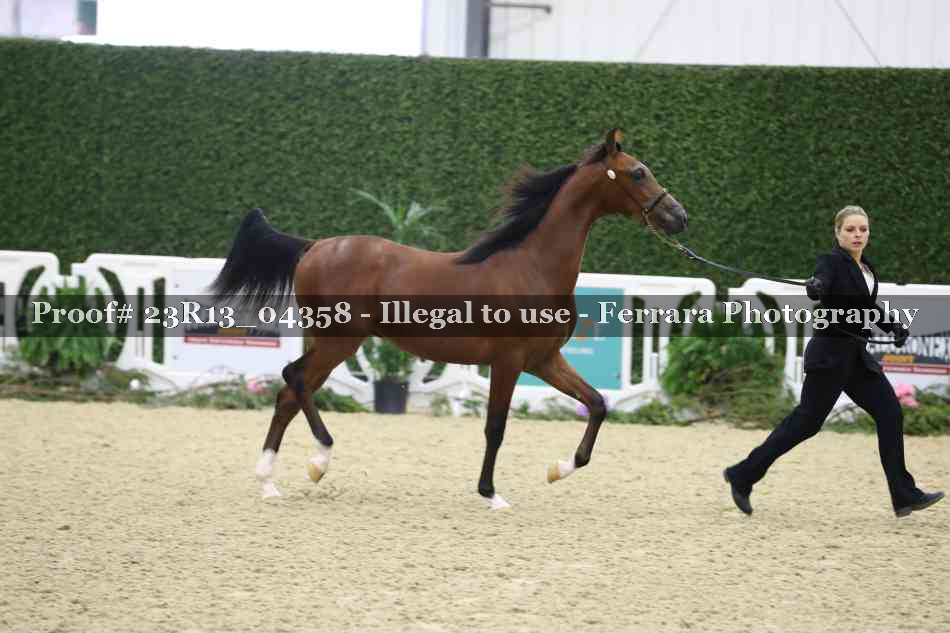 Proof 23R13_04358