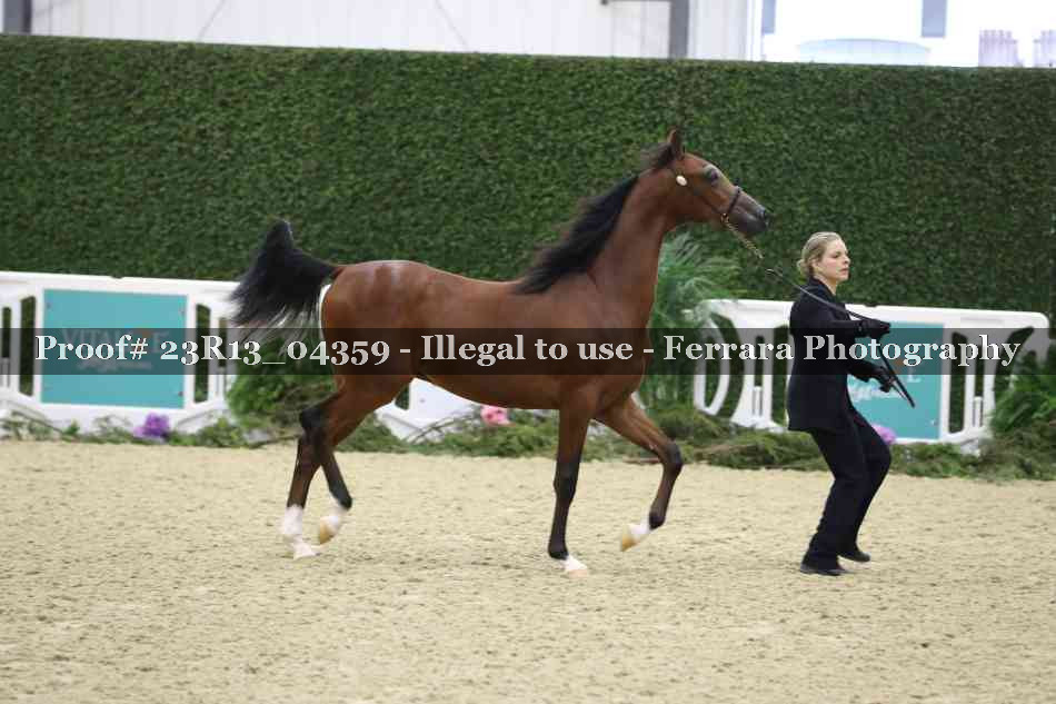 Proof 23R13_04359