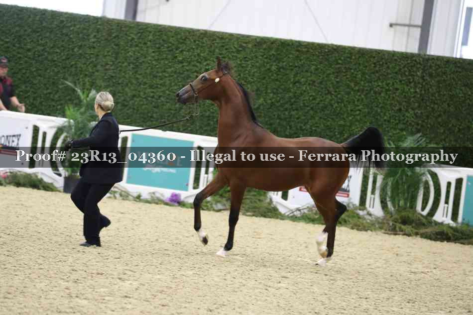 Proof 23R13_04360