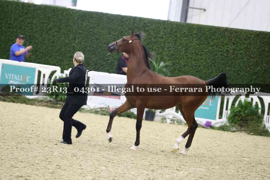 Proof 23R13_04361