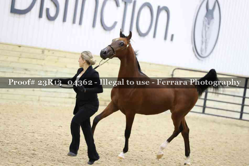 Proof 23R13_04362