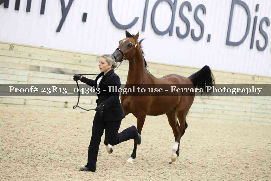 Proof 23R13_04363