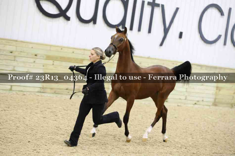 Proof 23R13_04364