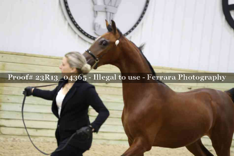 Proof 23R13_04365