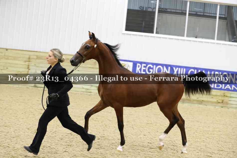 Proof 23R13_04366