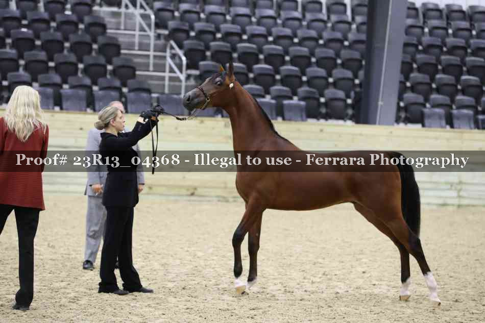 Proof 23R13_04368
