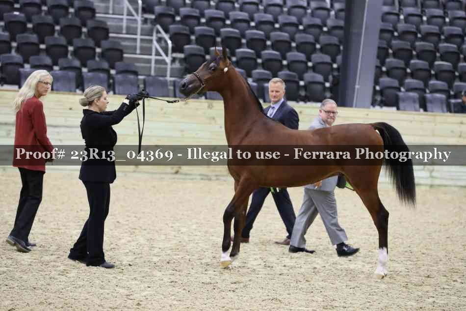 Proof 23R13_04369
