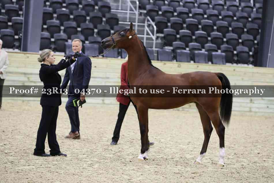 Proof 23R13_04370