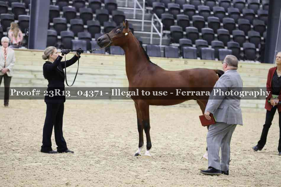 Proof 23R13_04371