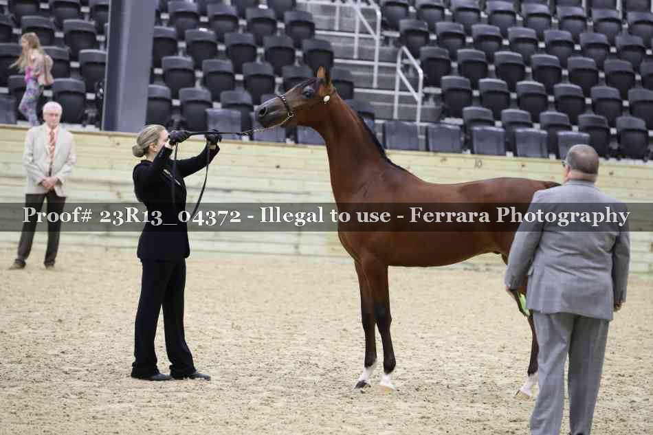 Proof 23R13_04372