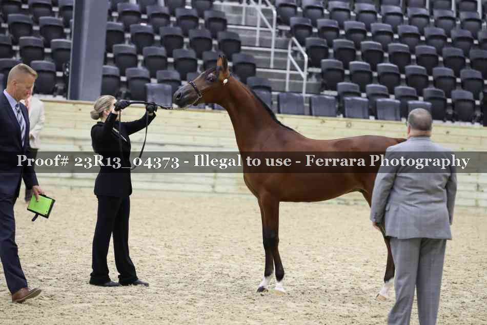 Proof 23R13_04373