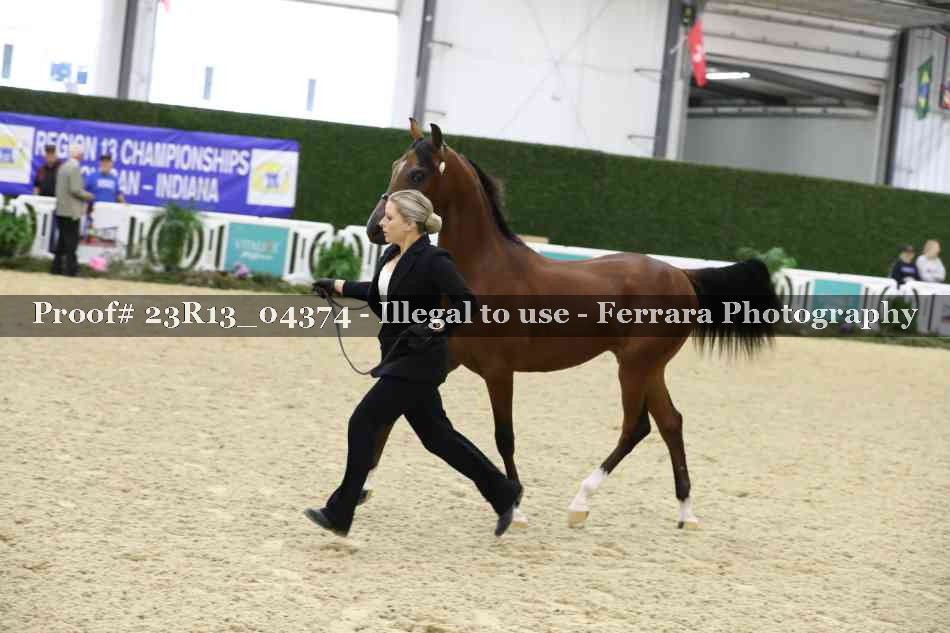 Proof 23R13_04374
