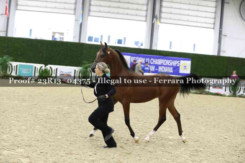 Proof 23R13_04375