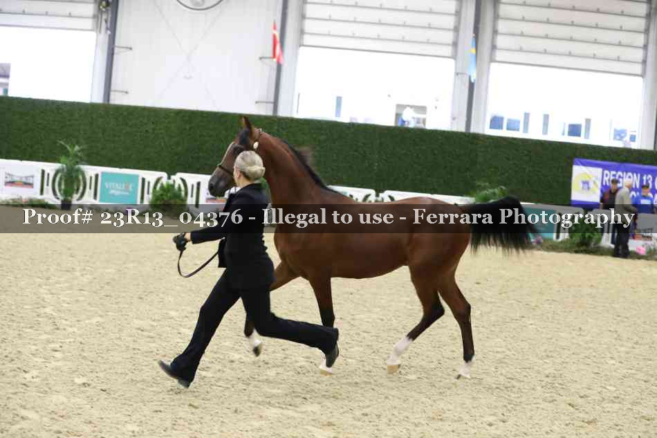 Proof 23R13_04376