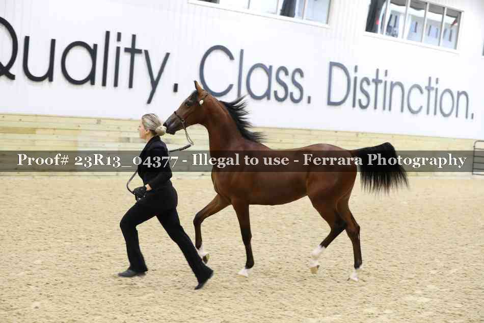 Proof 23R13_04377