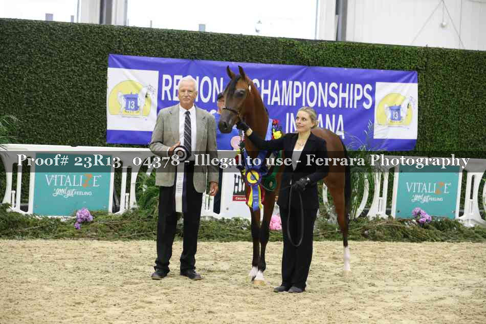 Proof 23R13_04378