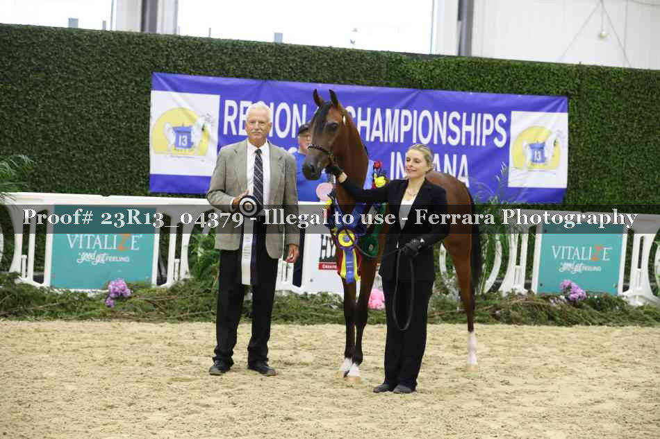 Proof 23R13_04379